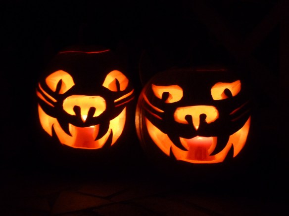 cat-o-lanterns