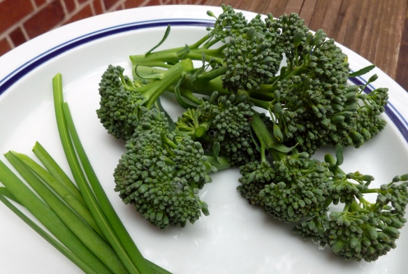 Not much to harvest in the broccoli and chives category, but still nice to have something from the garden this time of year.