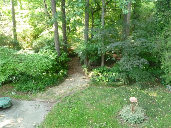 This is looking out over the deck railing into the back yard. My raised bed garden is just below this view.