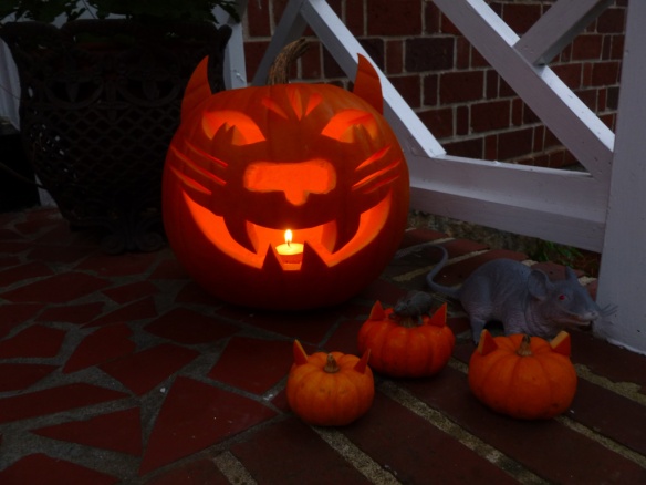 Our Halloween "Punkitty" and the two kitties that inspire are below!