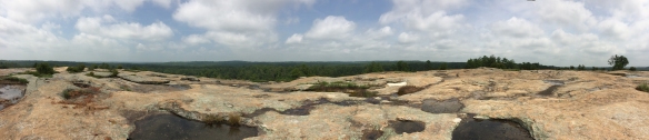 Extreme panoramic view from the summit of Arabia Mountain.